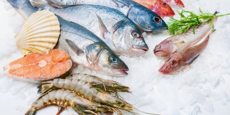 Where To Find Boston’s Best Seafood Restaurants