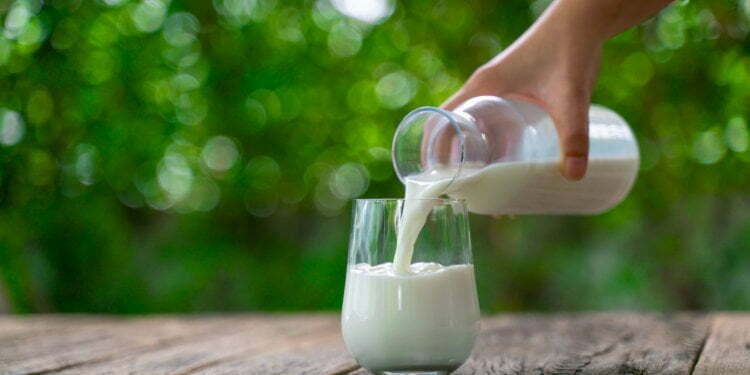 Does preserving milk under keep lighting fixtures genuinely reduce its vitamins?
