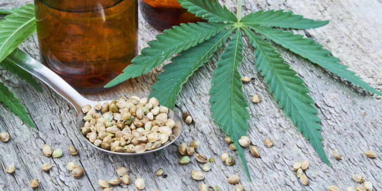Curious About Cooking With CBD Oil? Read These 4 Tips First