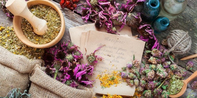 Herbal Secrets: Organic Herb Extracts, Vitamins, Powders, Oils and Plant Proteins