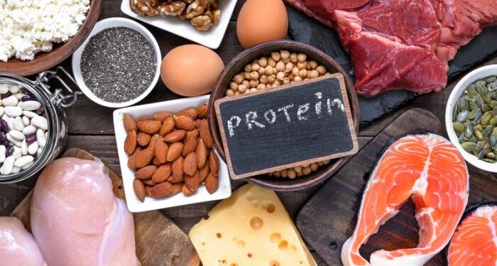 What Proteins Do In The Body – What Does Each Protein Do?
