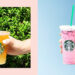 Caffeine Free Starbucks Drinks That Are Better for You
