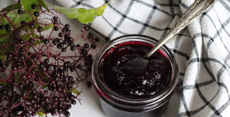 Boost Your Health with Elderberry Jelly